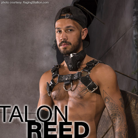 brittany bakken add pornstar talon photo