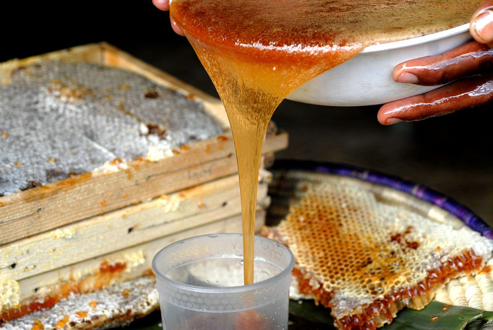 daniel drummond hay add honey paola image