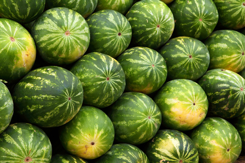 antonio hatcher add melon tits photo