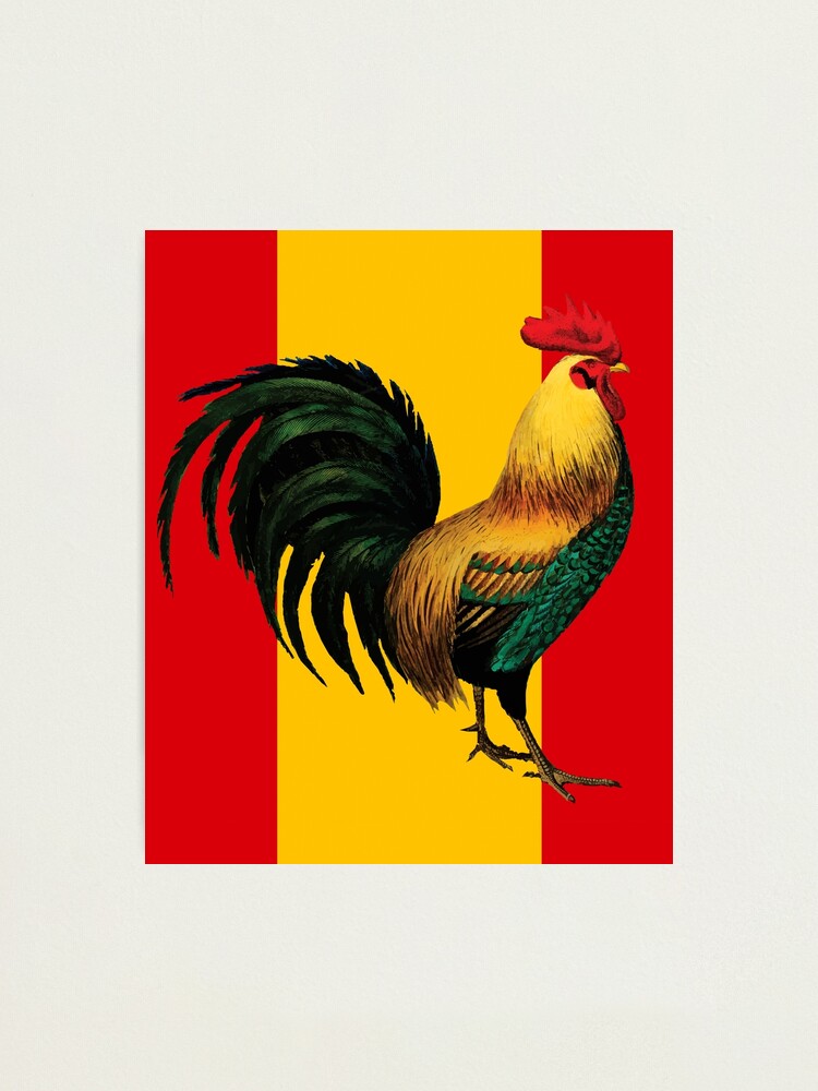 cynthia giddings add spanish for cock photo