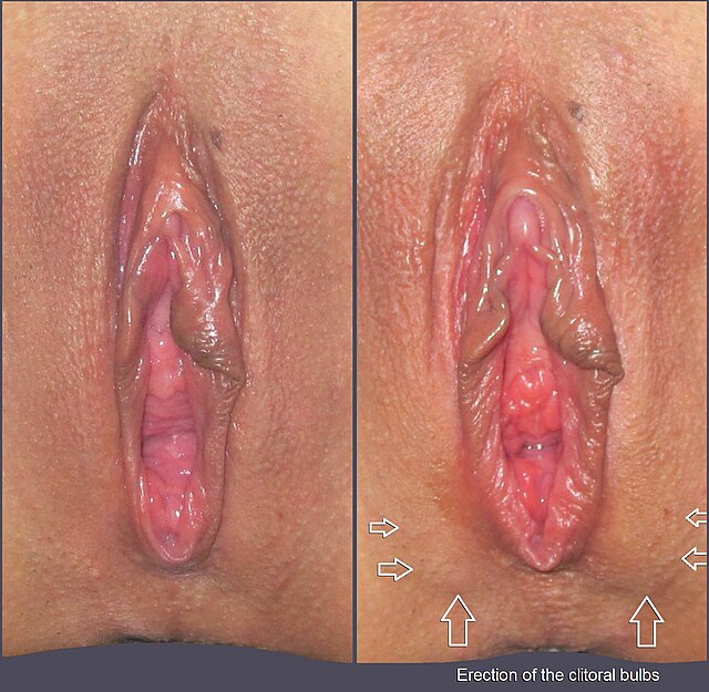 anthony stante recommends women playing with clit angie foust add women playing with clit photo