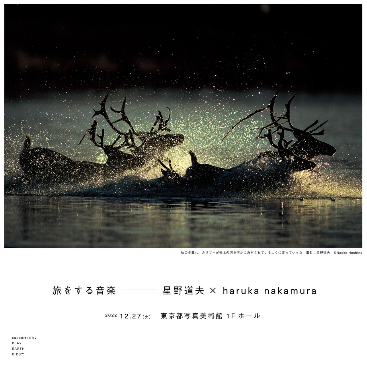 david kotler add haruka hoshino photo