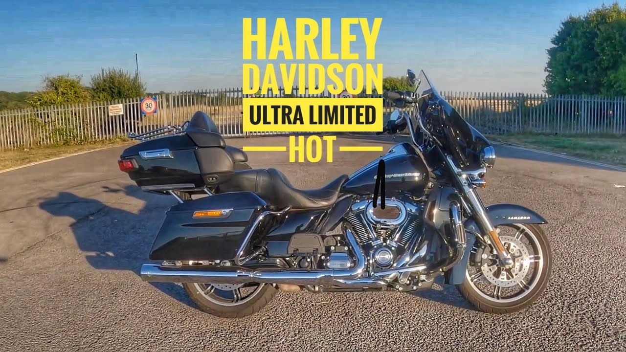 chris ugalde recommends Mompov charley celeste viera add harley summers image