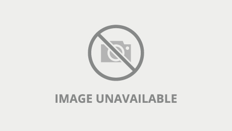 arina orlova add porn japanases image