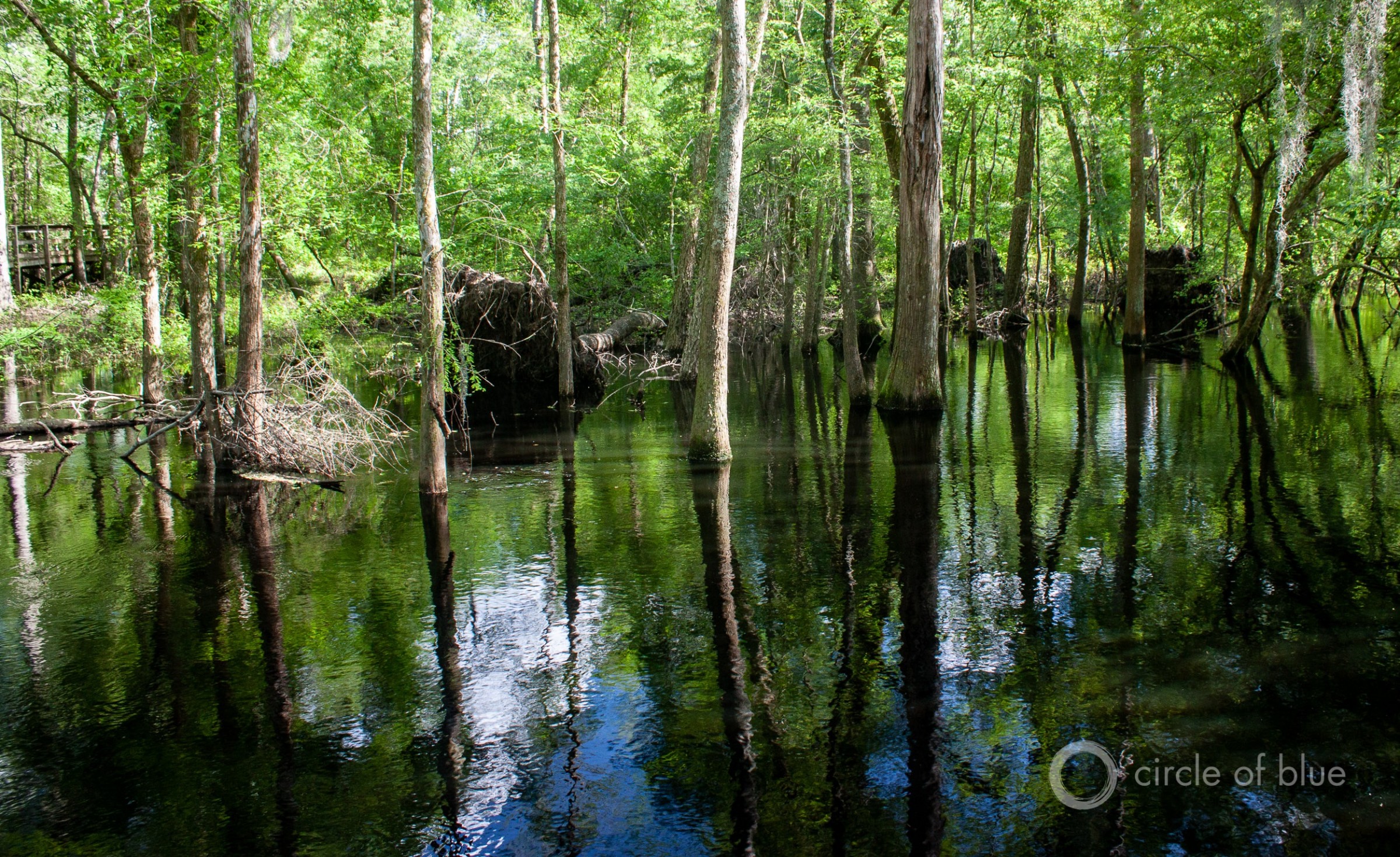 brad esarey add 18 streams photo
