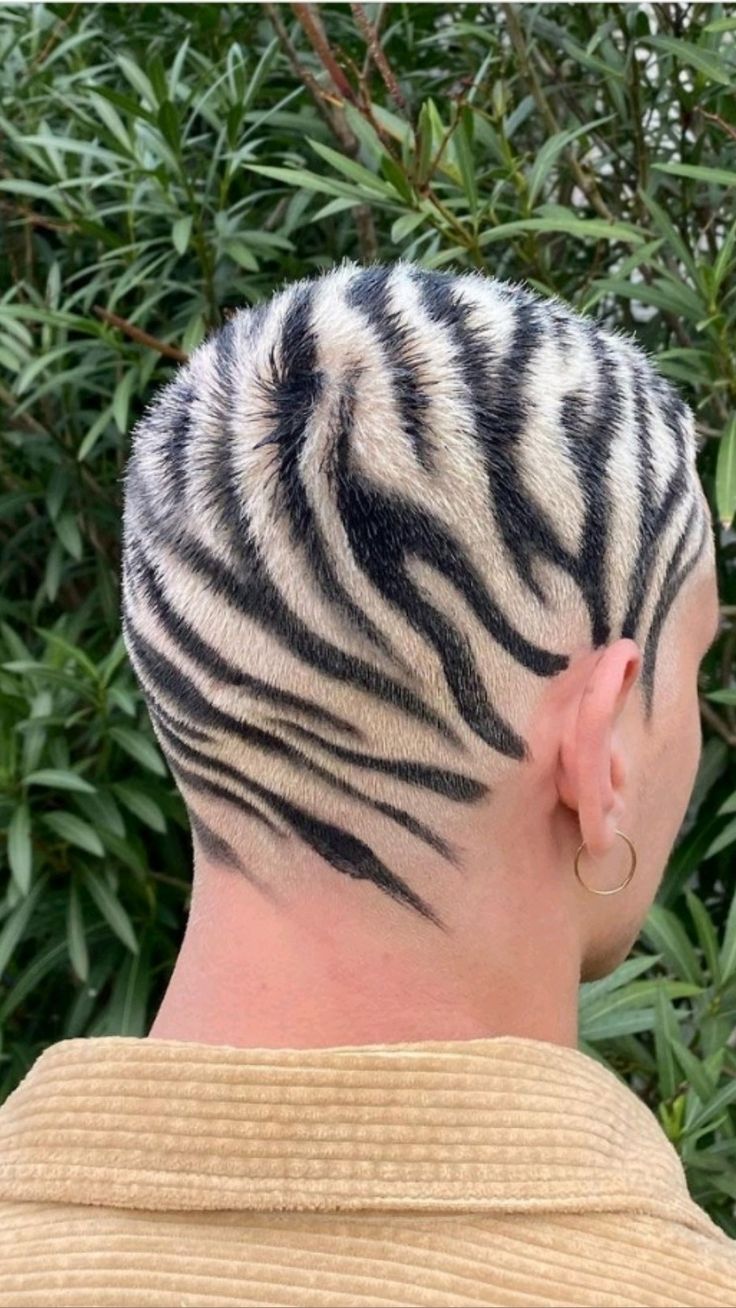 becky riordan add zebra shaved image