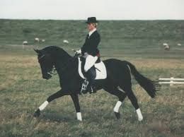 chelsie wilcox add Live couple sec photo