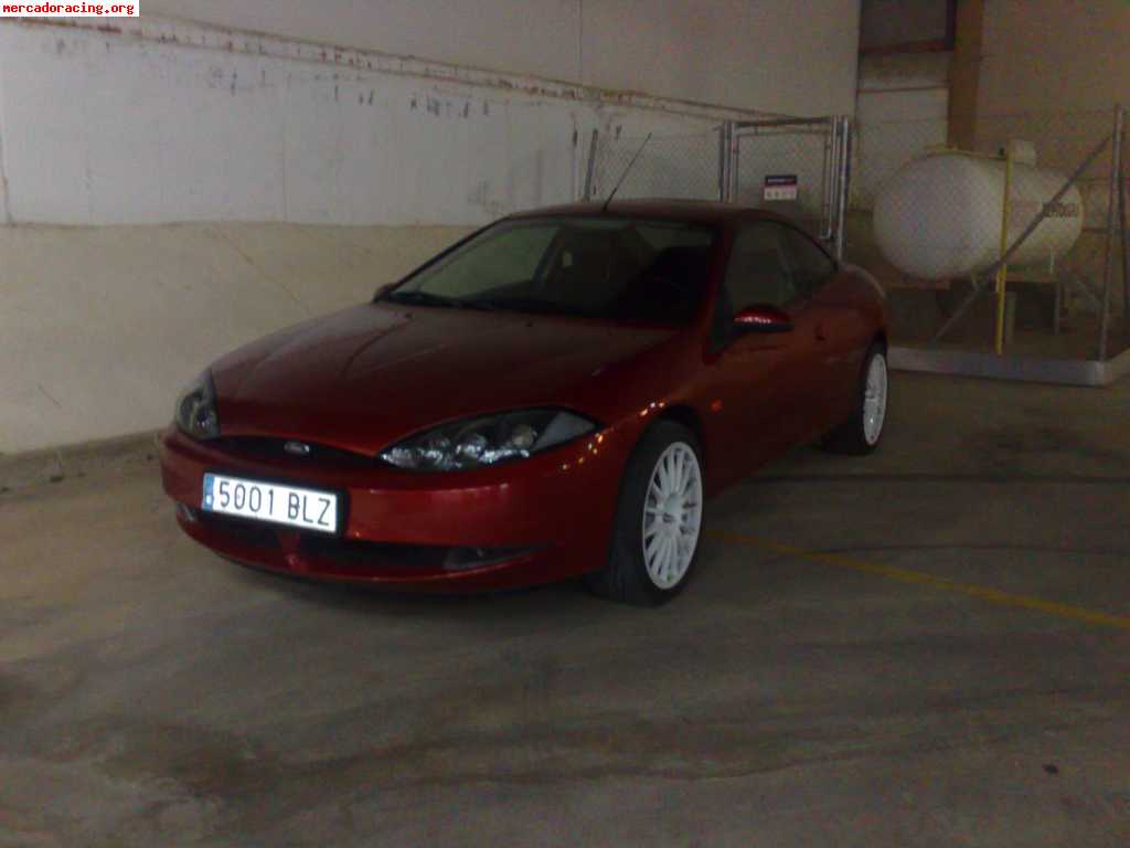 andrew tonge add solo cougar image