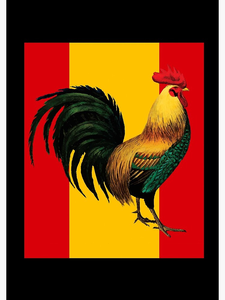 carole ciccotti add spanish for cock photo