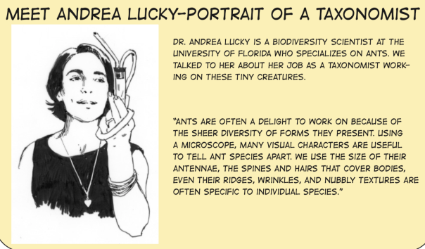 diana apodaca add luckyisa cam image