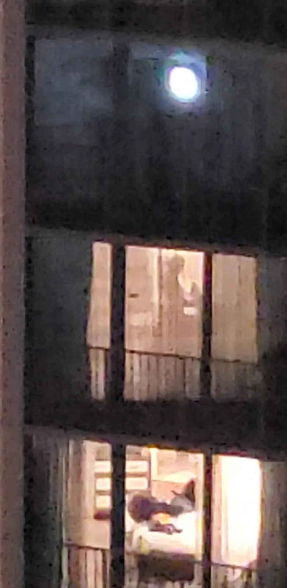 co luong add hotel voyeur image