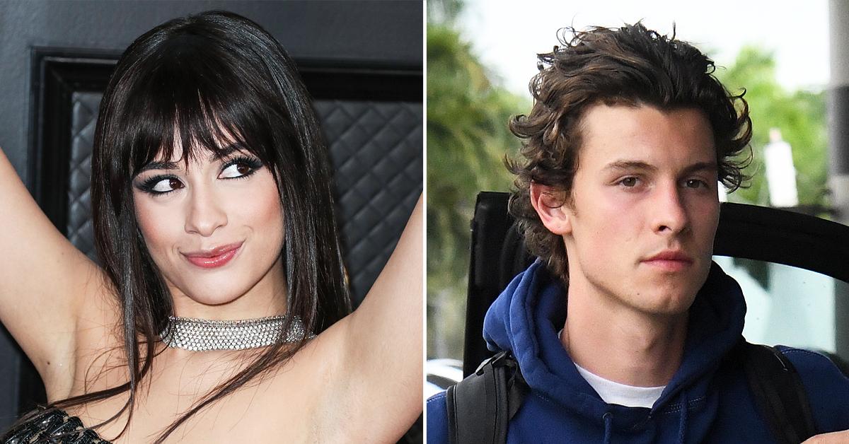david swald add camila cabello porn image