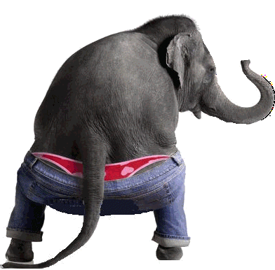 daniel lauten add asian humping photo