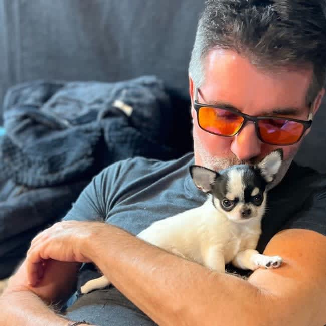 allan vieira add Lori loughlin nude photo