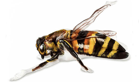 bruce durham add honey bee nude photo