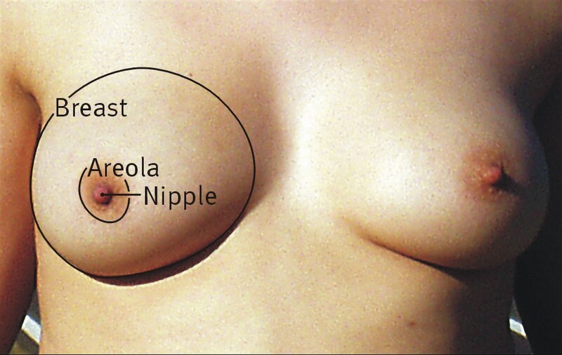 alkhenz borrez add lil tities photo