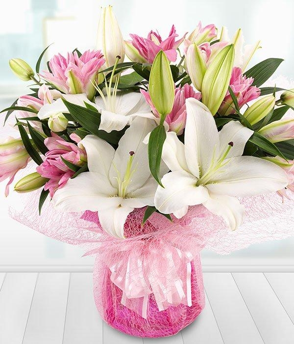 amy felton add lilly lovely photo