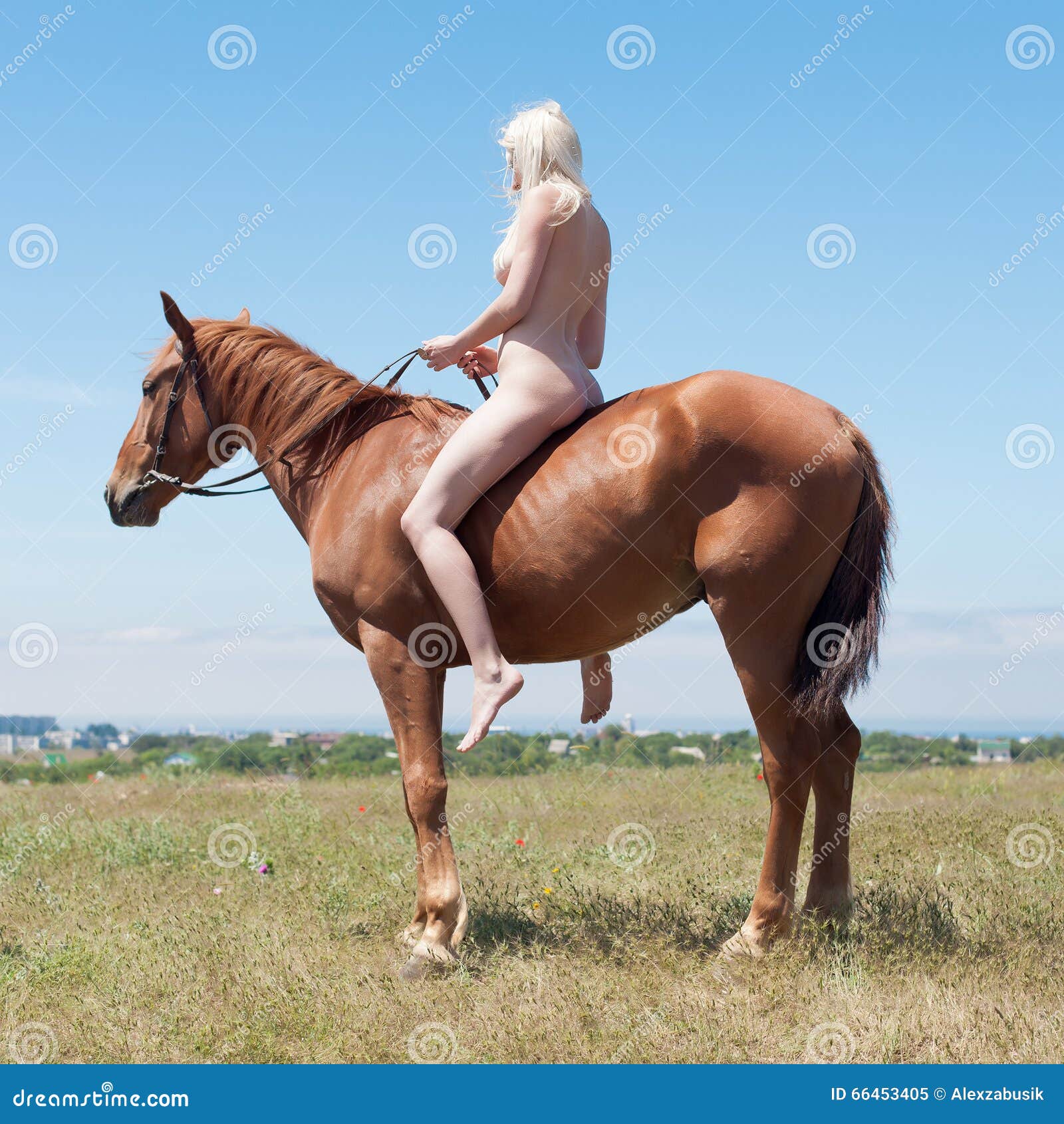 billy pare add nude women riding horses photo