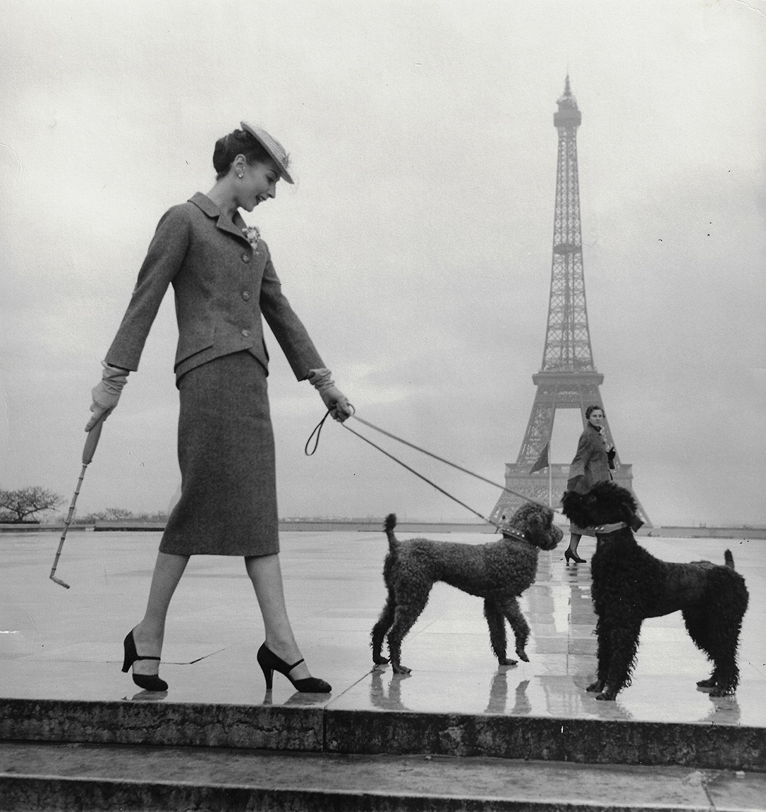 akshat meena add paris dahl photo