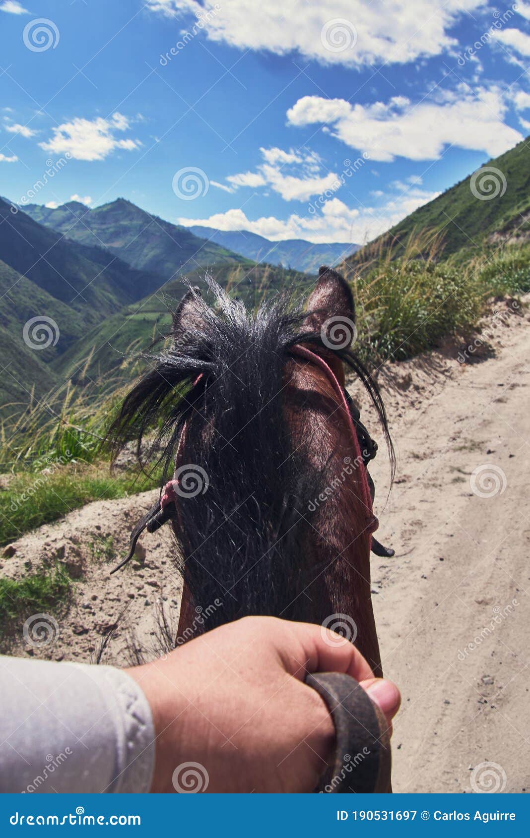 alan lauder add pov riding photo