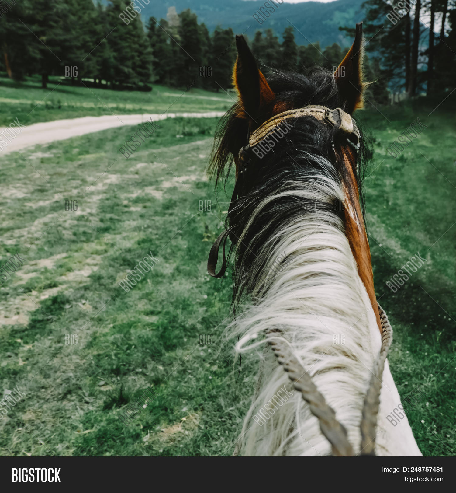 abraham medina add pov riding photo