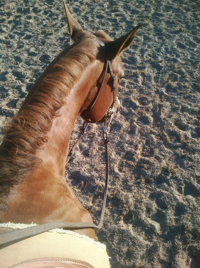 christopher von add pov riding photo