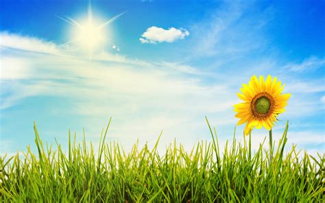 andrea agusti add sunny lune photo