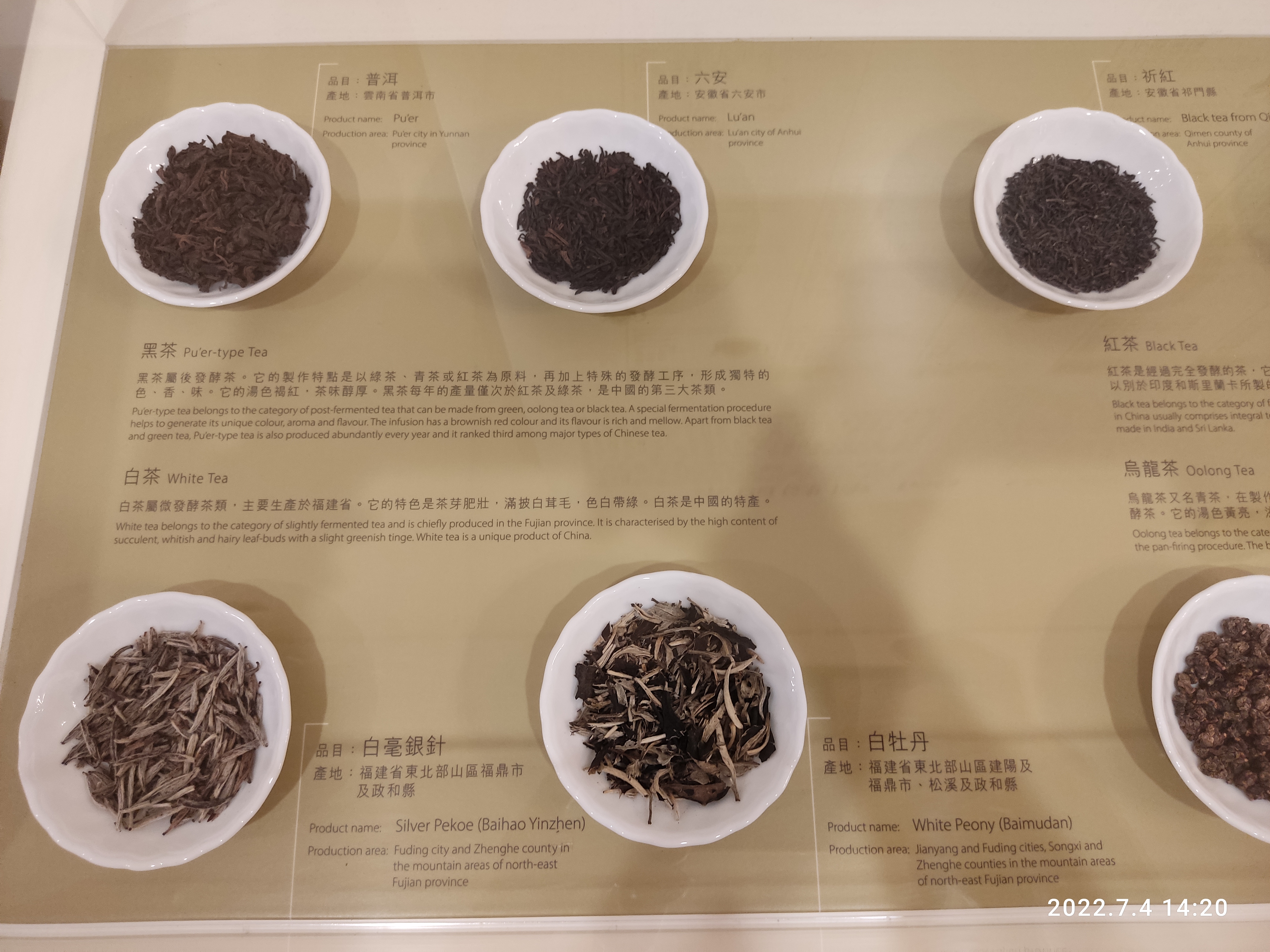 bryant chitwood add tea jul image