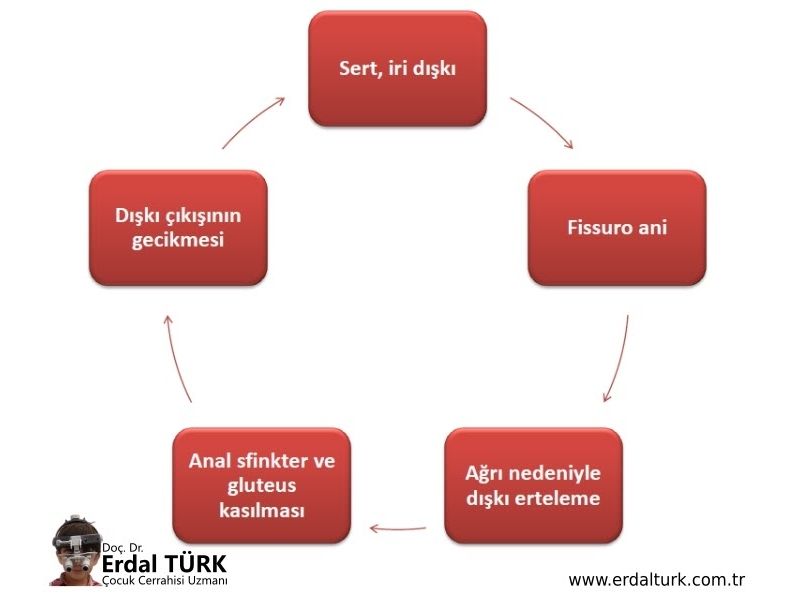 amr hussen add turk anal photo
